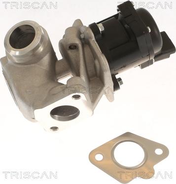 Triscan 8813 10018 - AGR-Клапан vvparts.bg