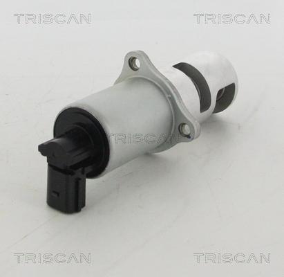Triscan 8813 10100 - AGR-Клапан vvparts.bg