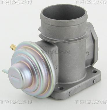 Triscan 8813 10101 - AGR-Клапан vvparts.bg