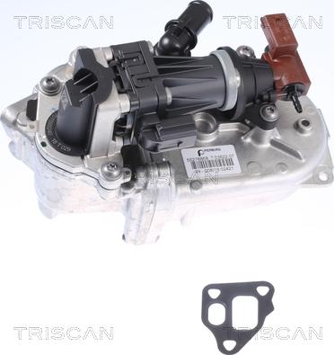 Triscan 8813 10108 - AGR-Клапан vvparts.bg