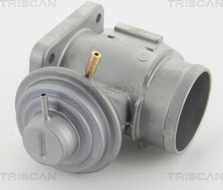 Triscan 8813 10210 - AGR-Клапан vvparts.bg