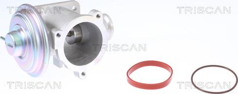 Triscan 8813 11003 - AGR-Клапан vvparts.bg