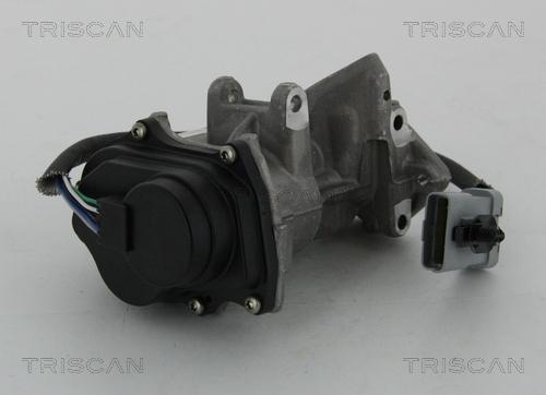 Triscan 8813 17019 - AGR-Клапан vvparts.bg