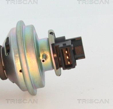 Triscan 8813 17100 - AGR-Клапан vvparts.bg