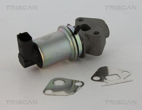 Triscan 8813 29045 - AGR-Клапан vvparts.bg