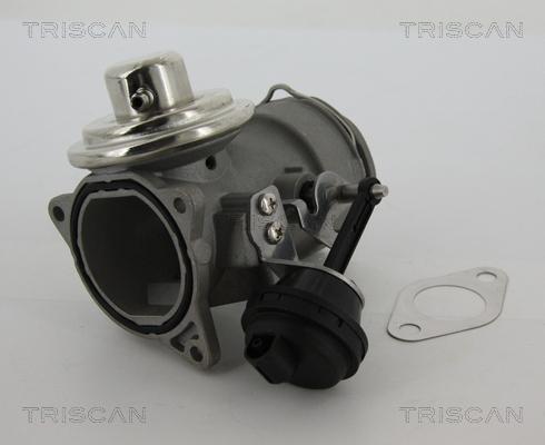 Triscan 8813 29040 - AGR-Клапан vvparts.bg