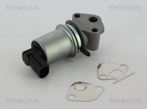 Triscan 8813 29004 - AGR-Клапан vvparts.bg