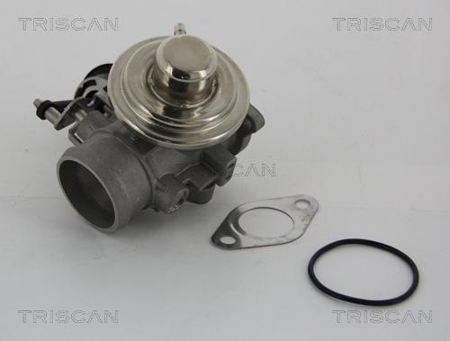 Triscan 8813 29001 - AGR-Клапан vvparts.bg
