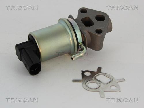 Triscan 8813 29007 - AGR-Клапан vvparts.bg