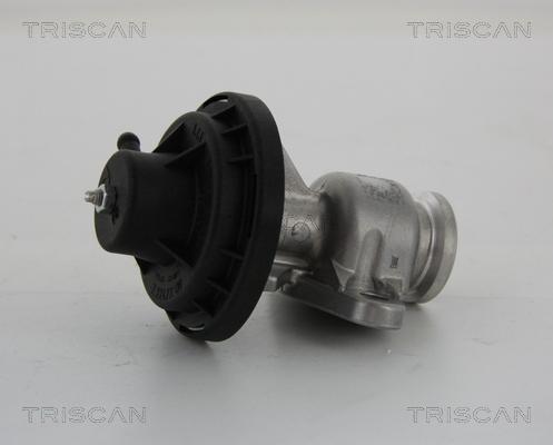 Triscan 8813 29034 - AGR-Клапан vvparts.bg