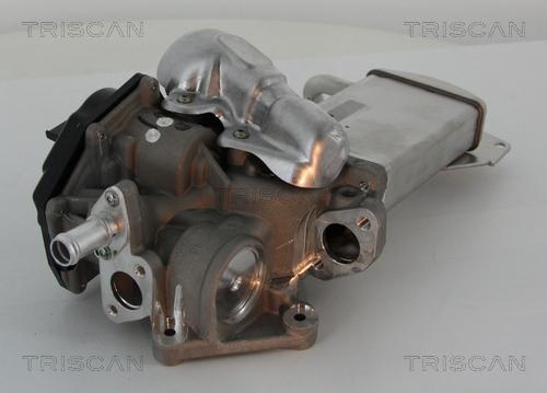 Triscan 8813 29304 - AGR-Клапан vvparts.bg