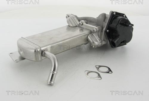 Triscan 8813 29305 - AGR-Клапан vvparts.bg