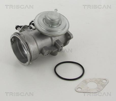 Triscan 8813 29302 - AGR-Клапан vvparts.bg