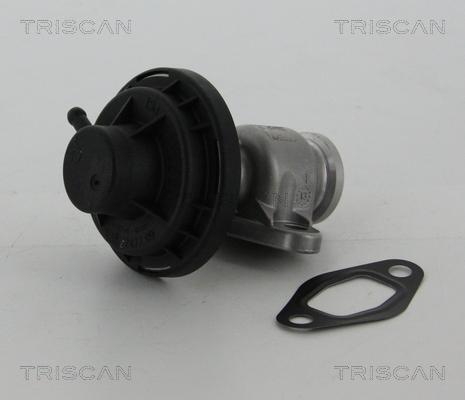 Triscan 8813 29307 - AGR-Клапан vvparts.bg