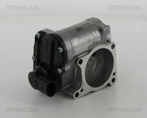 Triscan 8813 29311 - AGR-Клапан vvparts.bg