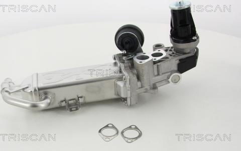 Triscan 8813 29330 - AGR-Клапан vvparts.bg