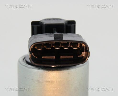 Triscan 8813 24059 - AGR-Клапан vvparts.bg