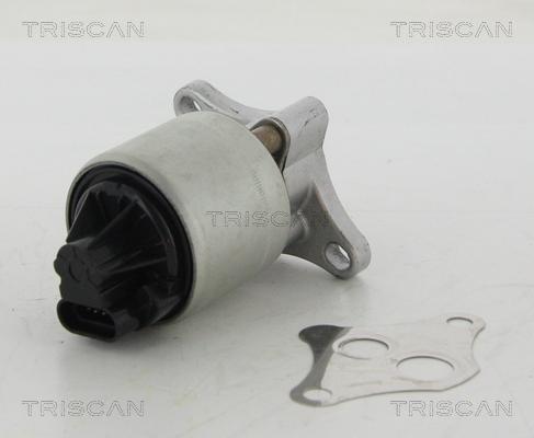 Triscan 8813 24004 - AGR-Клапан vvparts.bg