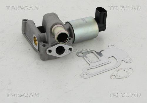Triscan 8813 24003 - AGR-Клапан vvparts.bg