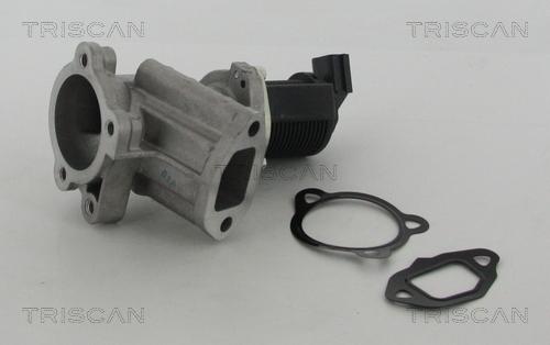 Triscan 8813 24015 - AGR-Клапан vvparts.bg
