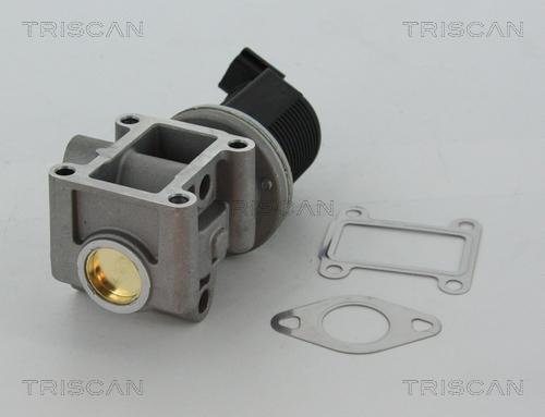 Triscan 8813 24082 - AGR-Клапан vvparts.bg