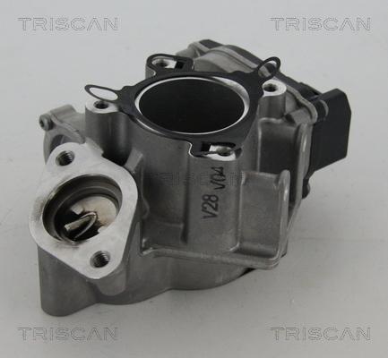 Triscan 8813 24039 - AGR-Клапан vvparts.bg