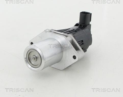Triscan 8813 24209 - AGR-Клапан vvparts.bg