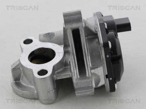 Triscan 8813 25041 - AGR-Клапан vvparts.bg