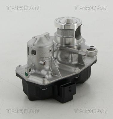 Triscan 8813 25042 - AGR-Клапан vvparts.bg