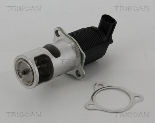 Triscan 8813 25005 - AGR-Клапан vvparts.bg