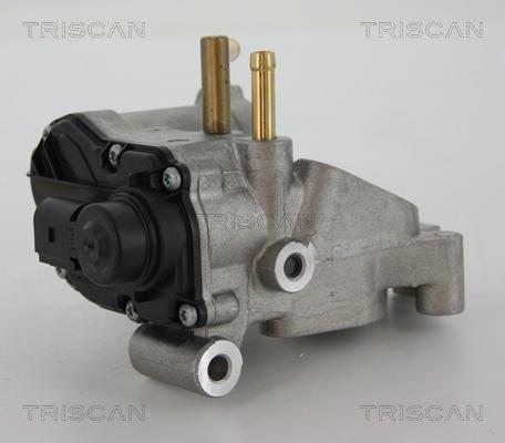Triscan 8813 25018 - AGR-Клапан vvparts.bg