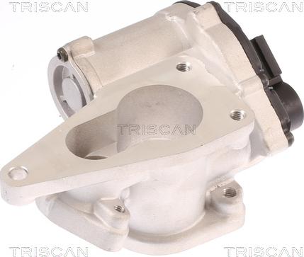 Triscan 8813 25012 - AGR-Клапан vvparts.bg