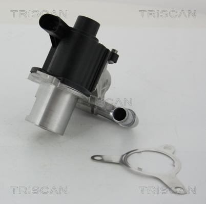 Triscan 8813 25039 - AGR-Клапан vvparts.bg