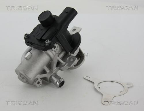 Triscan 8813 25039 - AGR-Клапан vvparts.bg