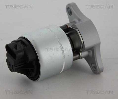 Triscan 8813 21006 - AGR-Клапан vvparts.bg