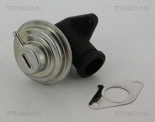 Triscan 8813 28042 - AGR-Клапан vvparts.bg