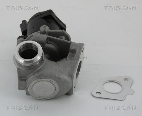 Triscan 8813 28003 - AGR-Клапан vvparts.bg