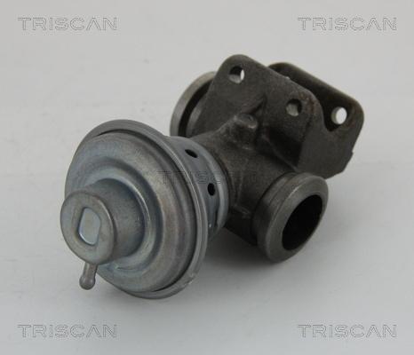 Triscan 8813 28013 - AGR-Клапан vvparts.bg