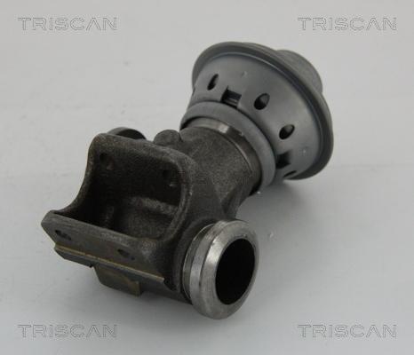 Triscan 8813 28013 - AGR-Клапан vvparts.bg