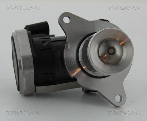 Triscan 8813 23006 - AGR-Клапан vvparts.bg