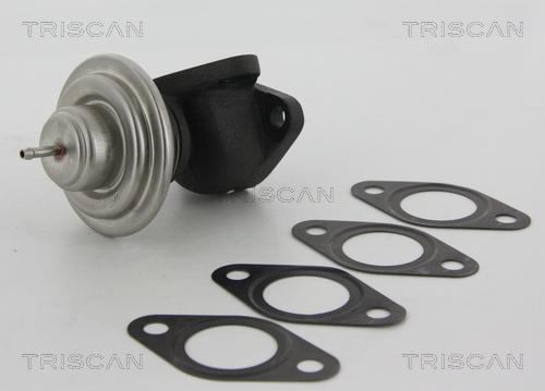 Triscan 8813 23013 - AGR-Клапан vvparts.bg