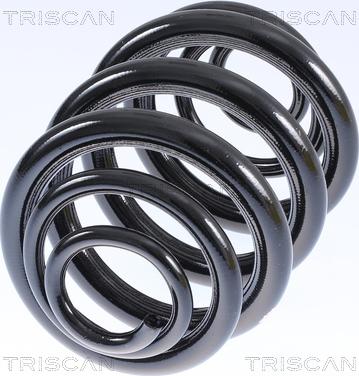 Triscan 8750 29040 - Пружина за ходовата част vvparts.bg