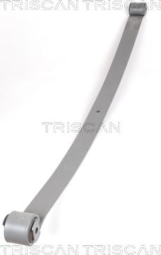 Triscan 8765 10001 - Комплект пружини vvparts.bg