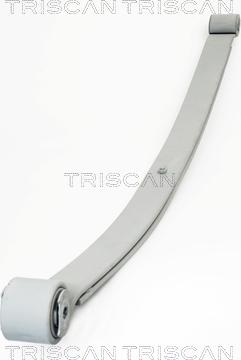 Triscan 8765 10007 - Комплект пружини vvparts.bg