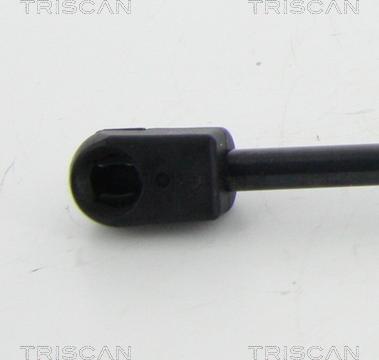 Triscan 8710 67206 - Газов амортисьор, багажно / товарно пространство vvparts.bg