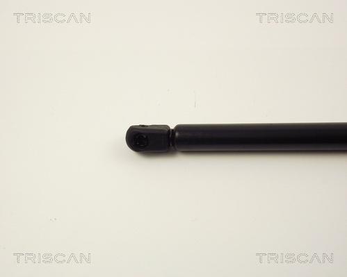 Triscan 8710 13258 - Газов амортисьор, багажно / товарно пространство vvparts.bg