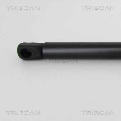 Triscan 8710 29145 - Газов амортисьор, капак на двигателя vvparts.bg