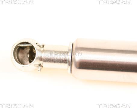 Triscan 8710 29250 - Газов амортисьор, багажно / товарно пространство vvparts.bg