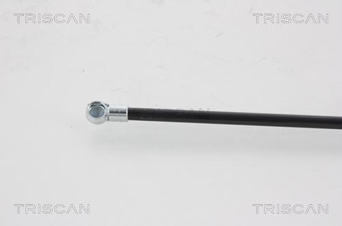 Triscan 8710 25221 - Газов амортисьор, багажно / товарно пространство vvparts.bg