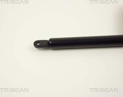 Triscan 8710 2001 - Газов амортисьор, капак на двигателя vvparts.bg